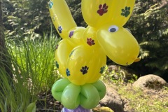 25-05-13-14-50-33-8670