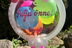 25-05-17-10-15-01-8733