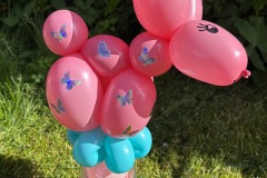 25-06-27-09-25-51-0377